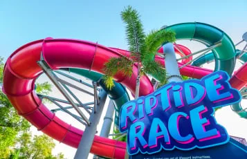 Riptide Race · Aquatica Orlando, foto oficial United Parks & Resorts