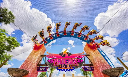 Phoenix Rising · Busch Gardens Tampa Bay, foto oficial United Parks & Resorts