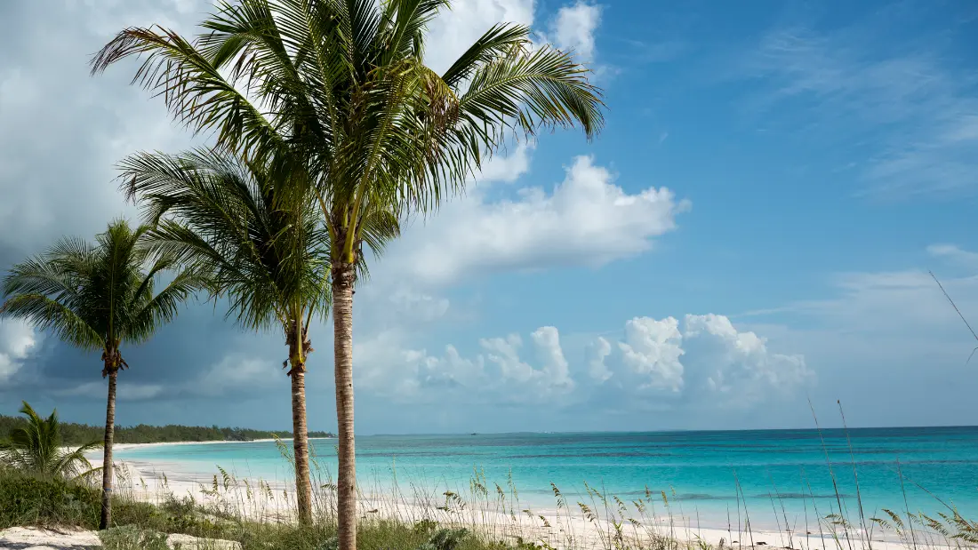 Disney Lookout Cay, foto oficial Disney Cruise Line
