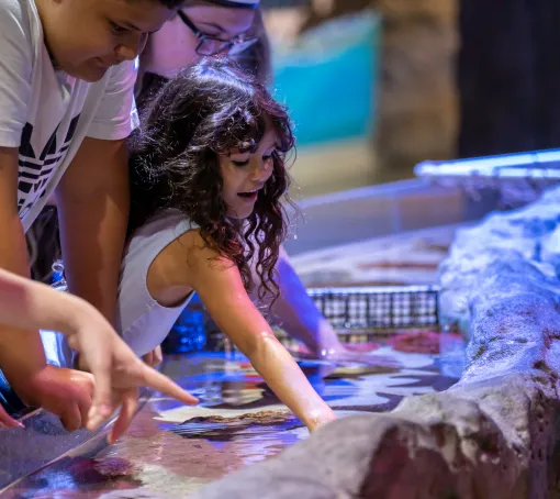 SEA LIFE Orlando