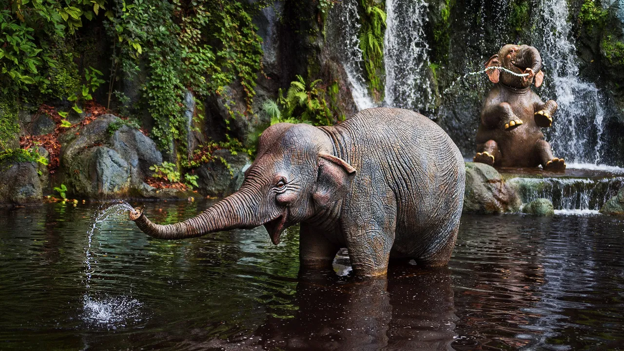 Jungle Cruise
