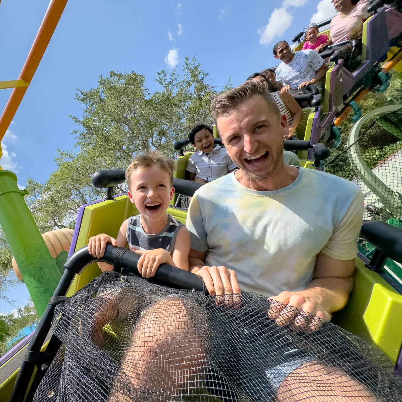 Trolls Trollercoaster